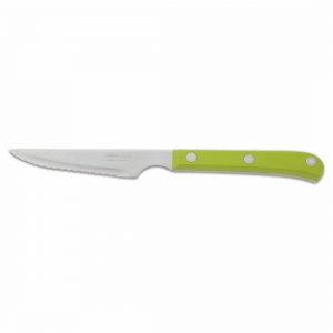 Cuchillo chuletero Arcos 374821 115/225 mm Mango verde POM - Cuchillalia