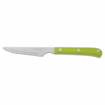 Cuchillo chuletero Arcos 374821 115/225 mm Mango verde POM - Cuchillalia