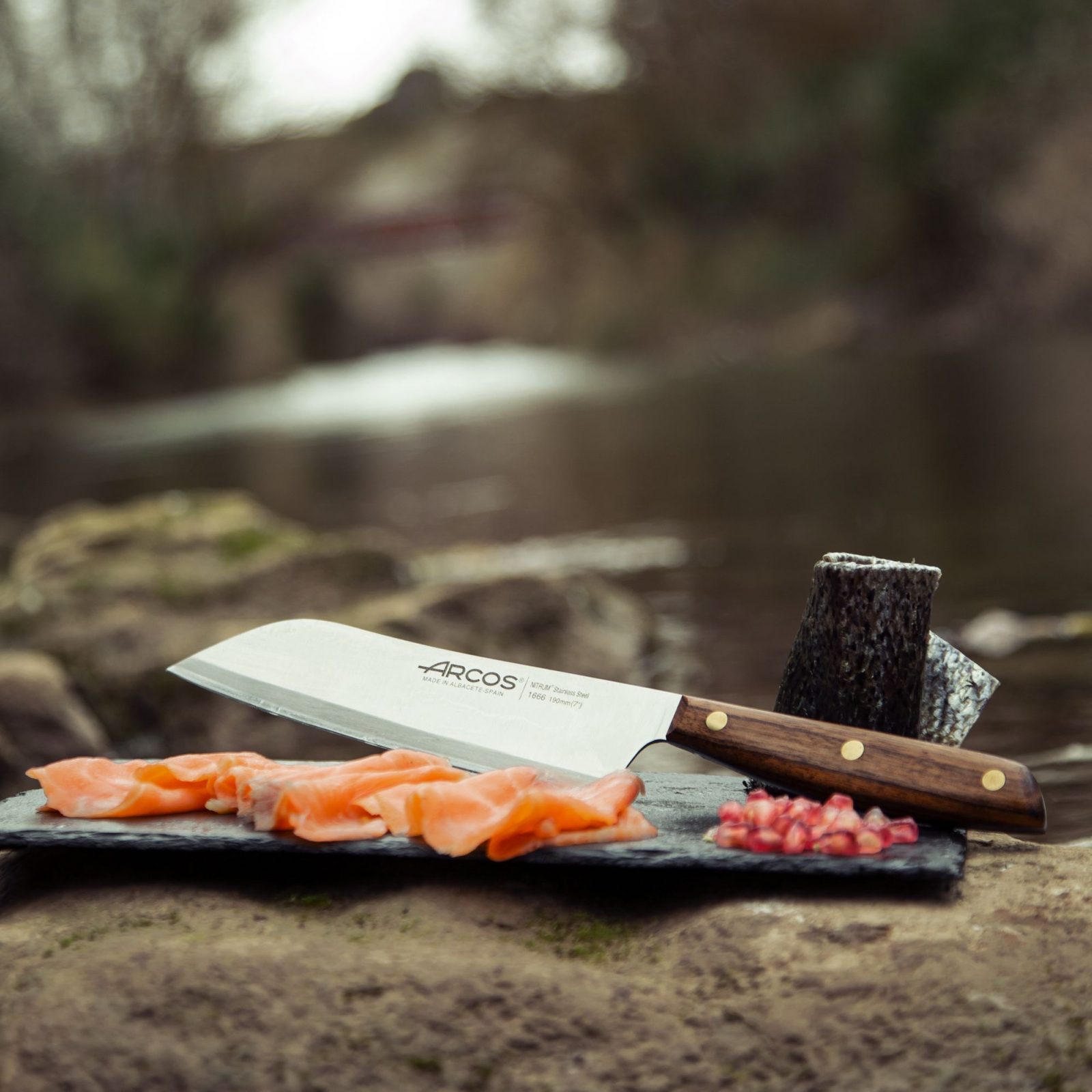 https://www.cuchillalia.com/wordpress/wp-content/uploads/2022/04/cuchillo-santoku-arcos-nordika-166600-naturaleza.jpg