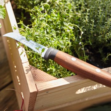 Cuchillo mondador curvo Wüsthof Urban Farmer en la canasta – Cuchillalia.com