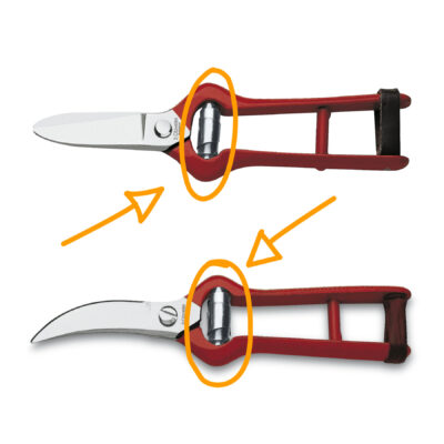 Muelle de recambio bicónico para las tijeras de 3 Claveles para vendimia 293 y para ajos 3253 - Cuchillalia.com